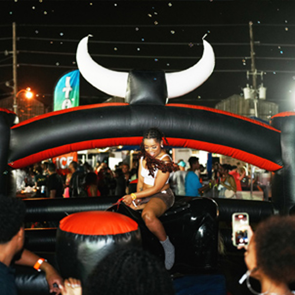 Bull Riding